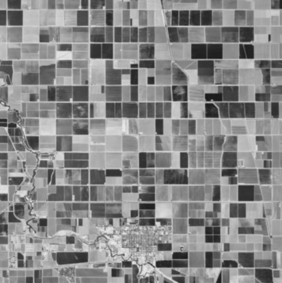 <p><span><span>In reading the landscape of the image, a geographer will most likely describe the land-survey pattern shown as typical of which of the following locations?</span></span></p>
