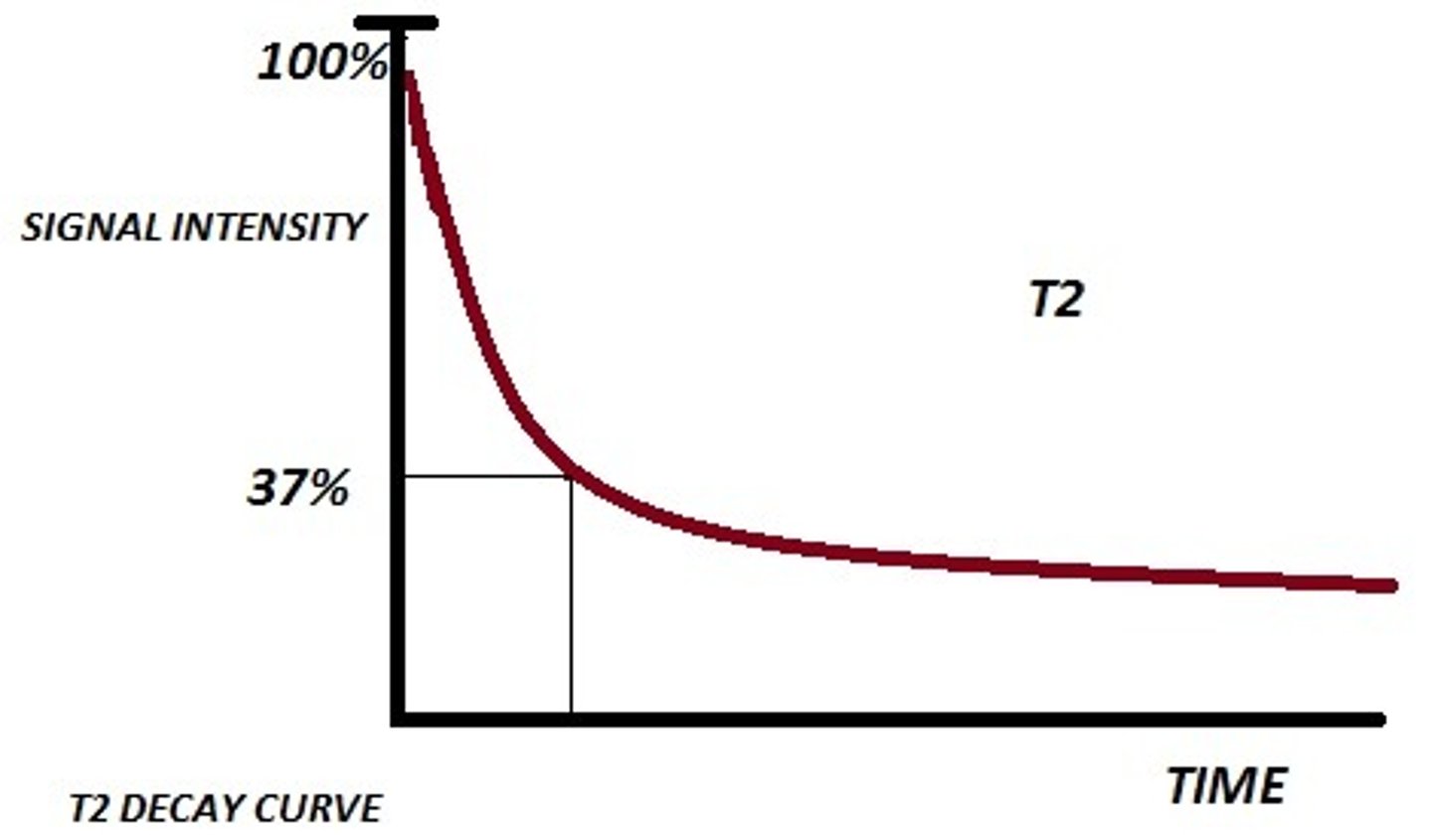 <p>decay of transverse magnetization through the loss of phase coherence between precessing spins due to spin exchange; also known as spin-spin relaxation</p>