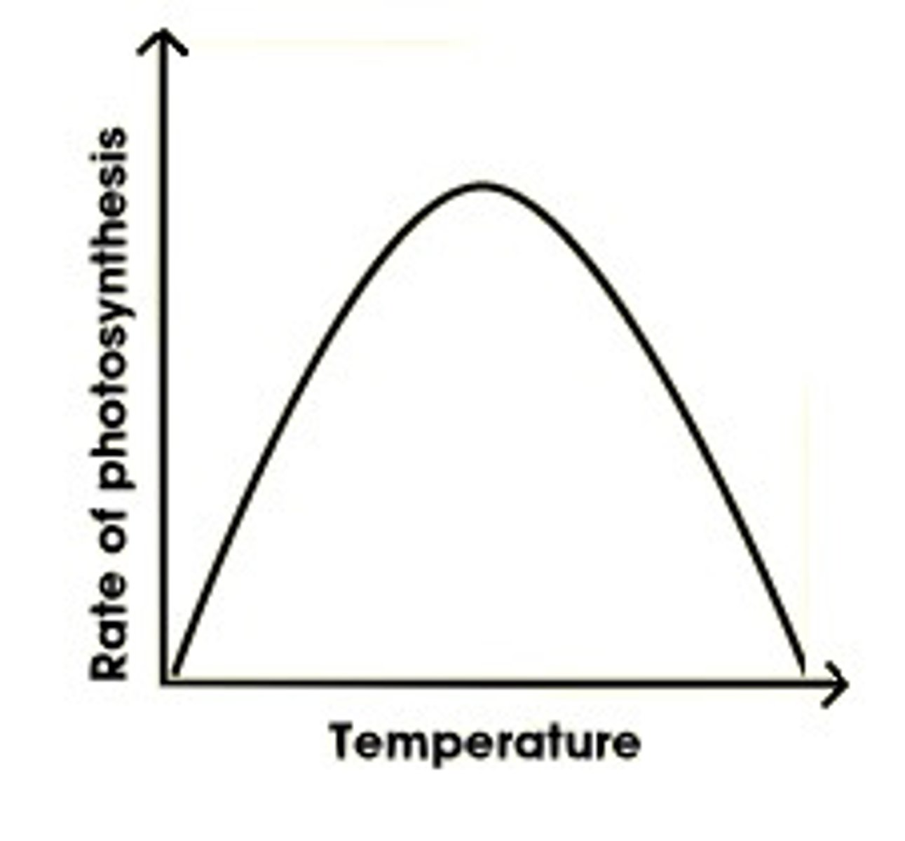 <p>Photosynthesis rate increases to an optimum and then decreases due to denaturing enzymes</p>