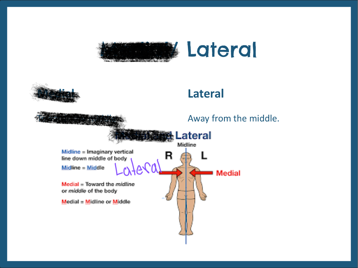 <p>Away from the midline of the body</p>