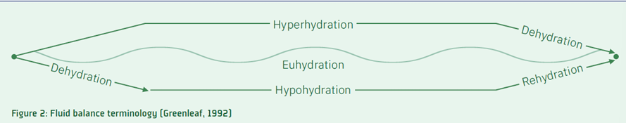 <p>process of losing body water </p>