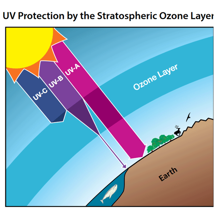 <p>Ozonosphere</p>