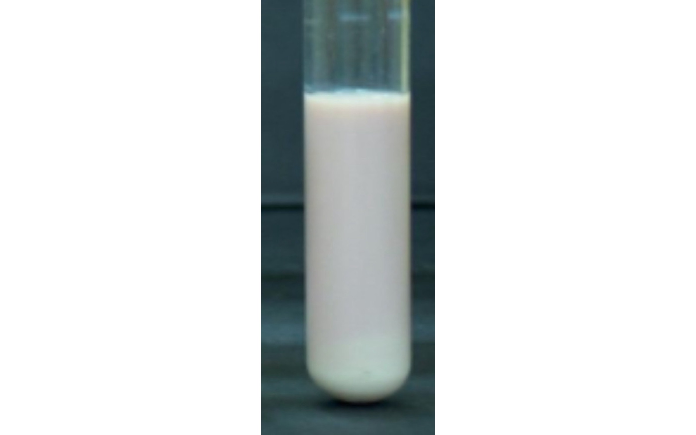 <p>Pink tube without acid clot formation or proteolysis</p>