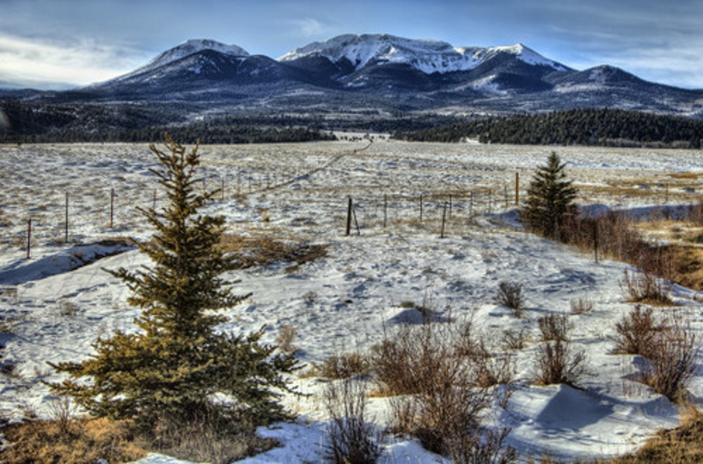 <p>a treeless plain especially of arctic regions having a permanently frozen layer below the surface soil and plant life made up mostly of mosses, lichens, herbs, and very small shrubs</p>