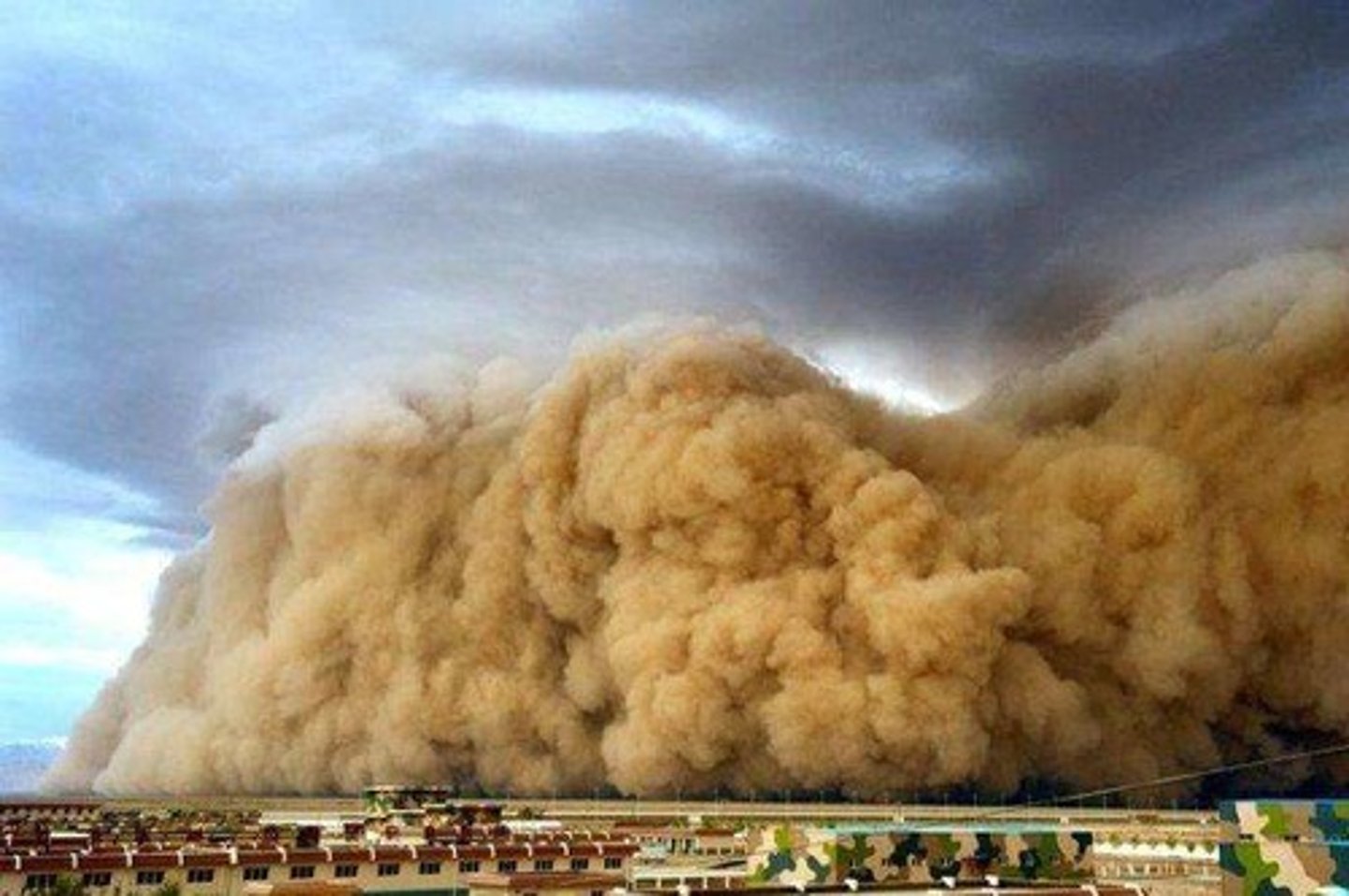 <p>(adj): nhiều bụi</p>