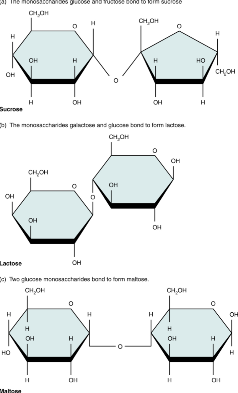 <p>What is this?</p>
