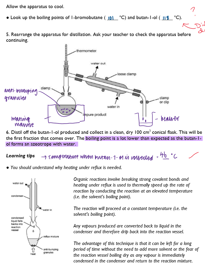 knowt flashcard image