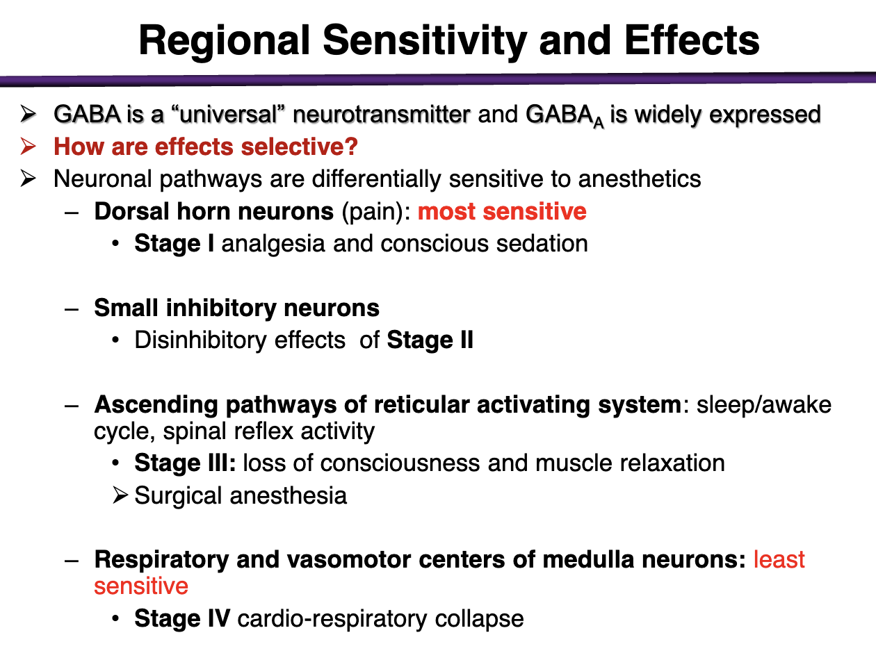 <p>Respiratory and vasomotor centers of medulla neurons: Least sensitive </p><ul><li><p>Stage IV cardio-respiratory collapse </p></li></ul><p></p>