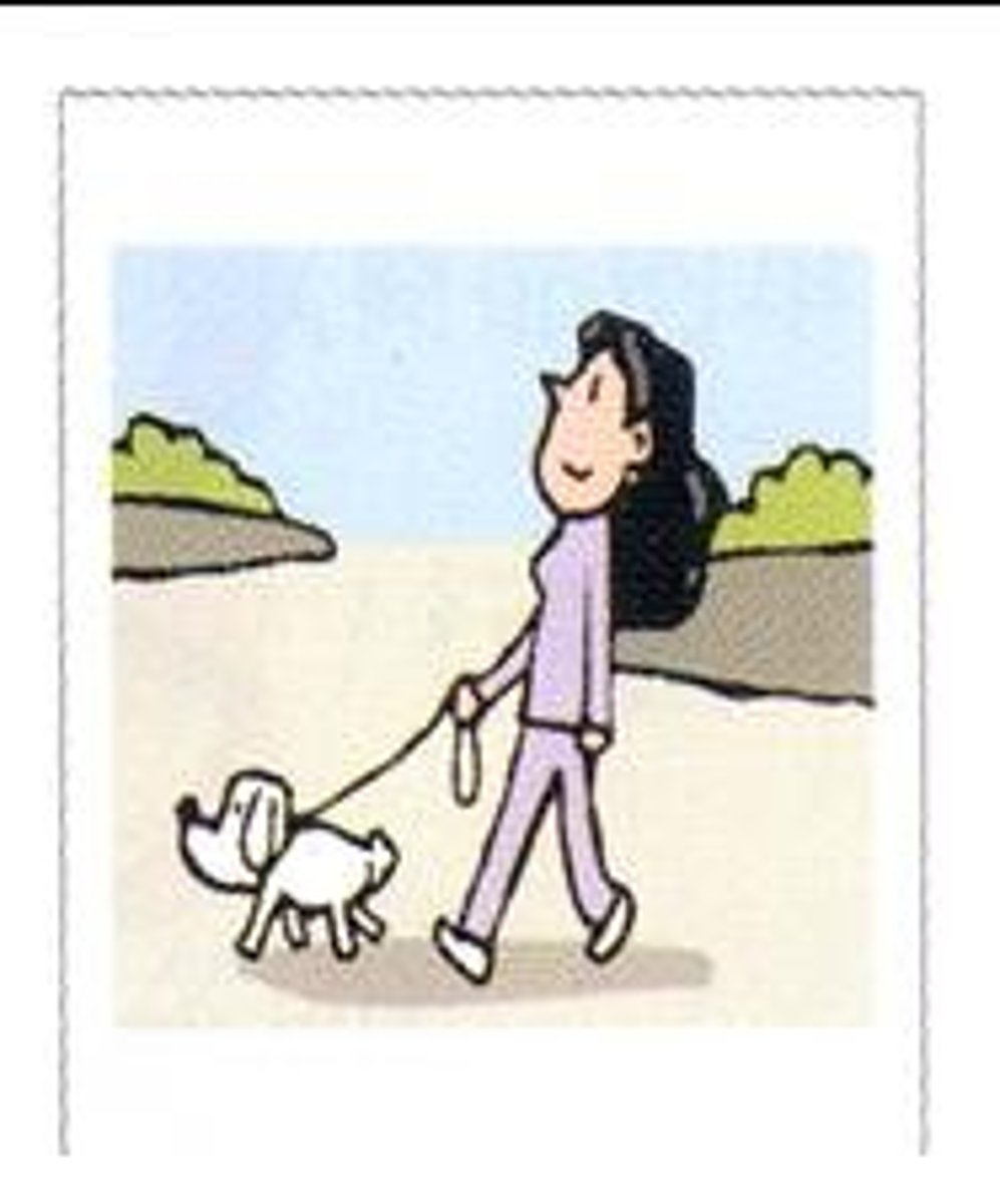 <p>pasear</p>