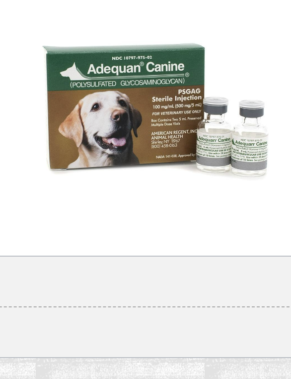 <p>Glycosaminoglycans importance</p>