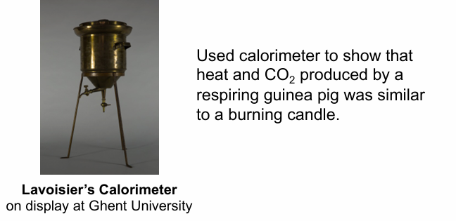 <p>What did Lavoisier’s calorimeter experiment show about respiration?</p>