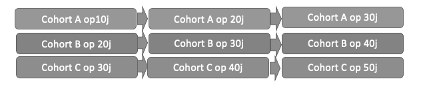 <p>Meerdere cohorten opvolgen over de tijd </p>