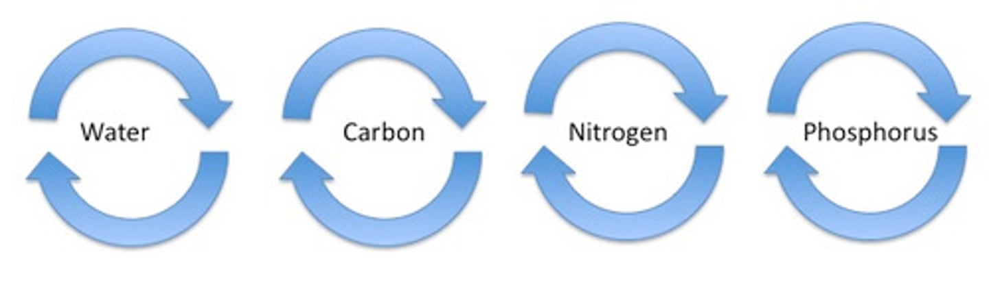 <p>Any of the various chemical cycles, which involve biological processes, geological processes, and chemical processes that allow essential elements to pass from one organism to another and among parts of the biosphere through closed loops.</p>