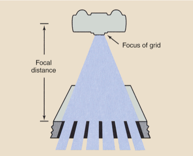 <p>lead strips are aligned to the path of the divergent beam reducing grid cut off</p>