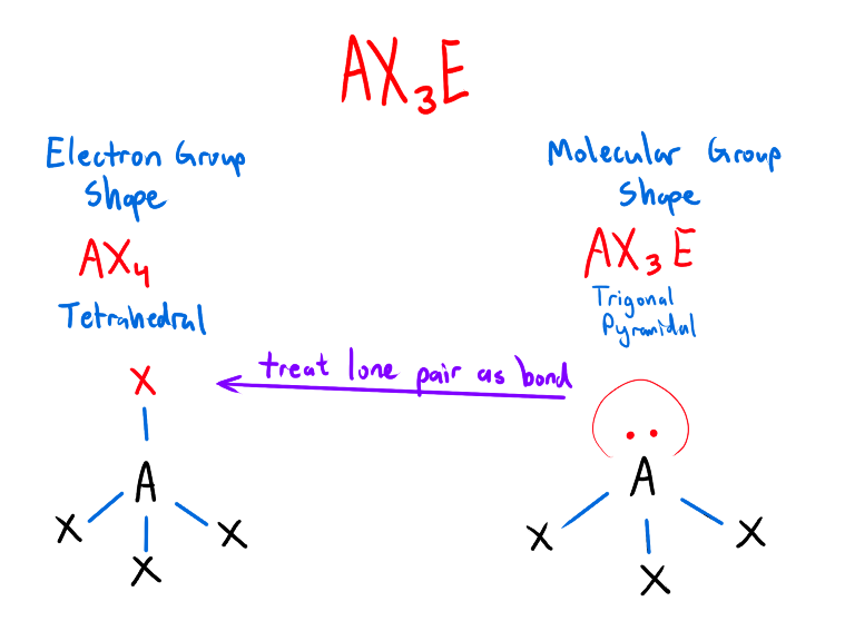 <p><strong>Electron Group Shape/ Electron Domain Geometry</strong></p><p>The shape formed by the molecule when<strong> all atoms and lone pair electrons</strong> on the central atom are considered</p><p>(Treat the lone pairs as if they are a bonded pair)</p><p></p><p><strong>Molecular Shape</strong></p><p>Shape formed when only the bonded atoms in the molecule are considered</p><p>(ignore the lone pairs, only look at the shape of the bonded pairs)</p>