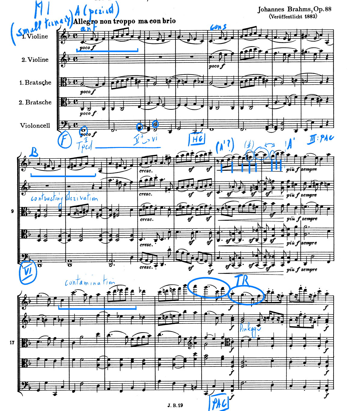 <p>Brahms: the first movement of the String Quintet in F major, op. 88</p><p>Small ternary: A (ends w A major PAC), B (D major), A (F major)</p>