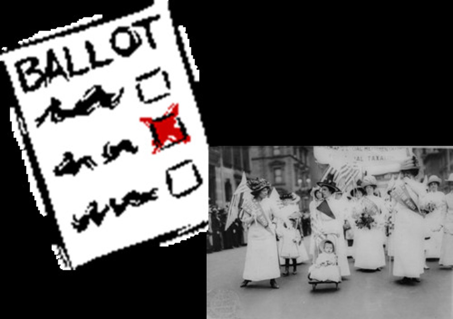 <p>The right to vote.</p>