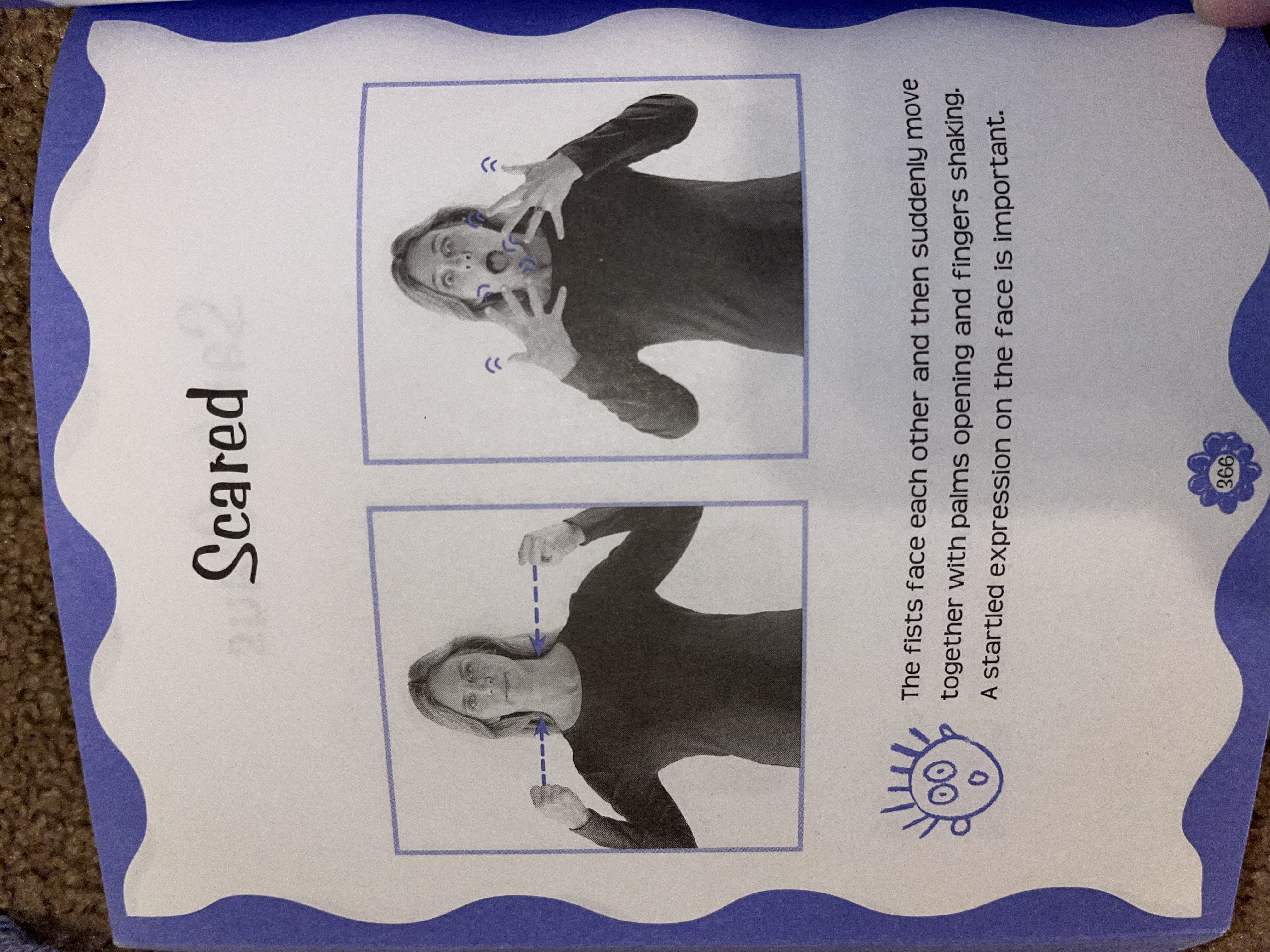 knowt flashcard image