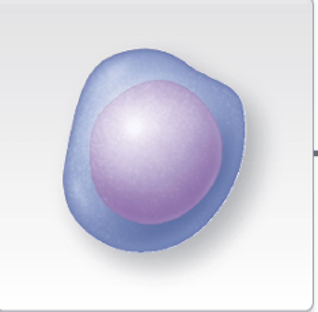<p>cell commits to becoming a erythrocyte</p>