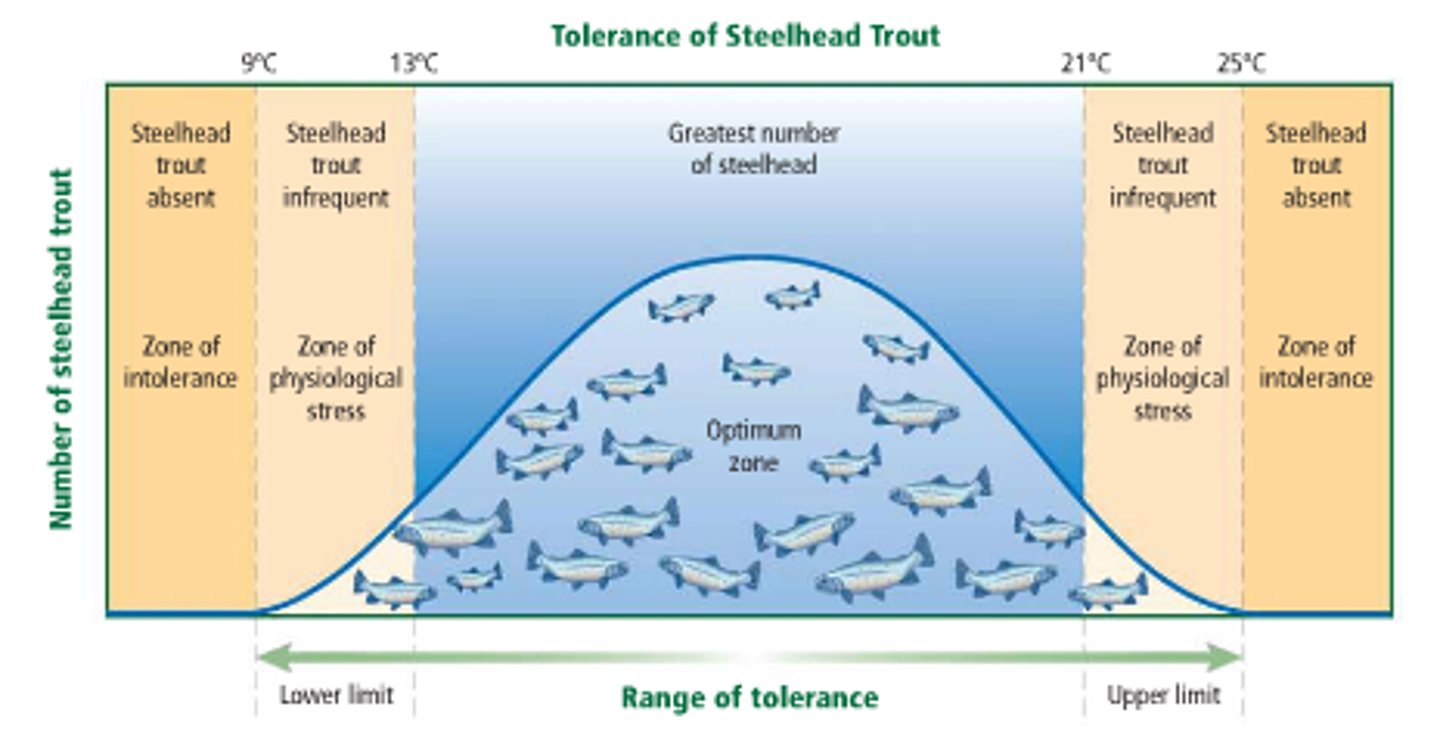 <p>the limits to the abiotic conditions that a species can tolerate</p>