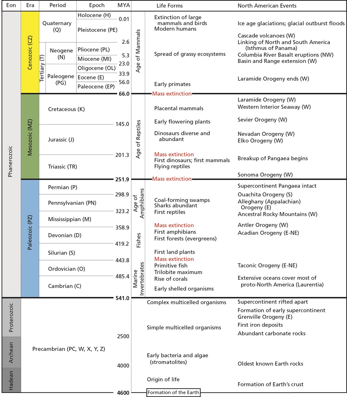 <p>system of <strong>chronological dating that relates geological strata to time</strong></p>