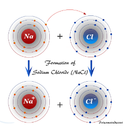 <p><span style="font-family: Arial, sans-serif">Consider the diagram of sodium chloride above.&nbsp; Describe what is happening in order for the ionic bond to form.</span></p>