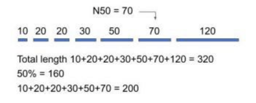 <ul><li><p>Bioinformaticians&nbsp;use metrics&nbsp;to assess an assembly's completeness, contiguity, and accuracy. For example, the commonly used N50 metric indicates the assembly's contiguity.&nbsp;</p></li><li><p>N50: the length of the contig where over 50% of the total assembled sequences are contained in contigs of that length or larger.</p><ul><li><p>Step 1: Calculate the total length of all contigs and order them by length.</p></li><li><p>Step 2: Calculate 50% of the total length.</p><ul><li><p>L50 = L/2.</p></li></ul></li></ul></li></ul><p></p>