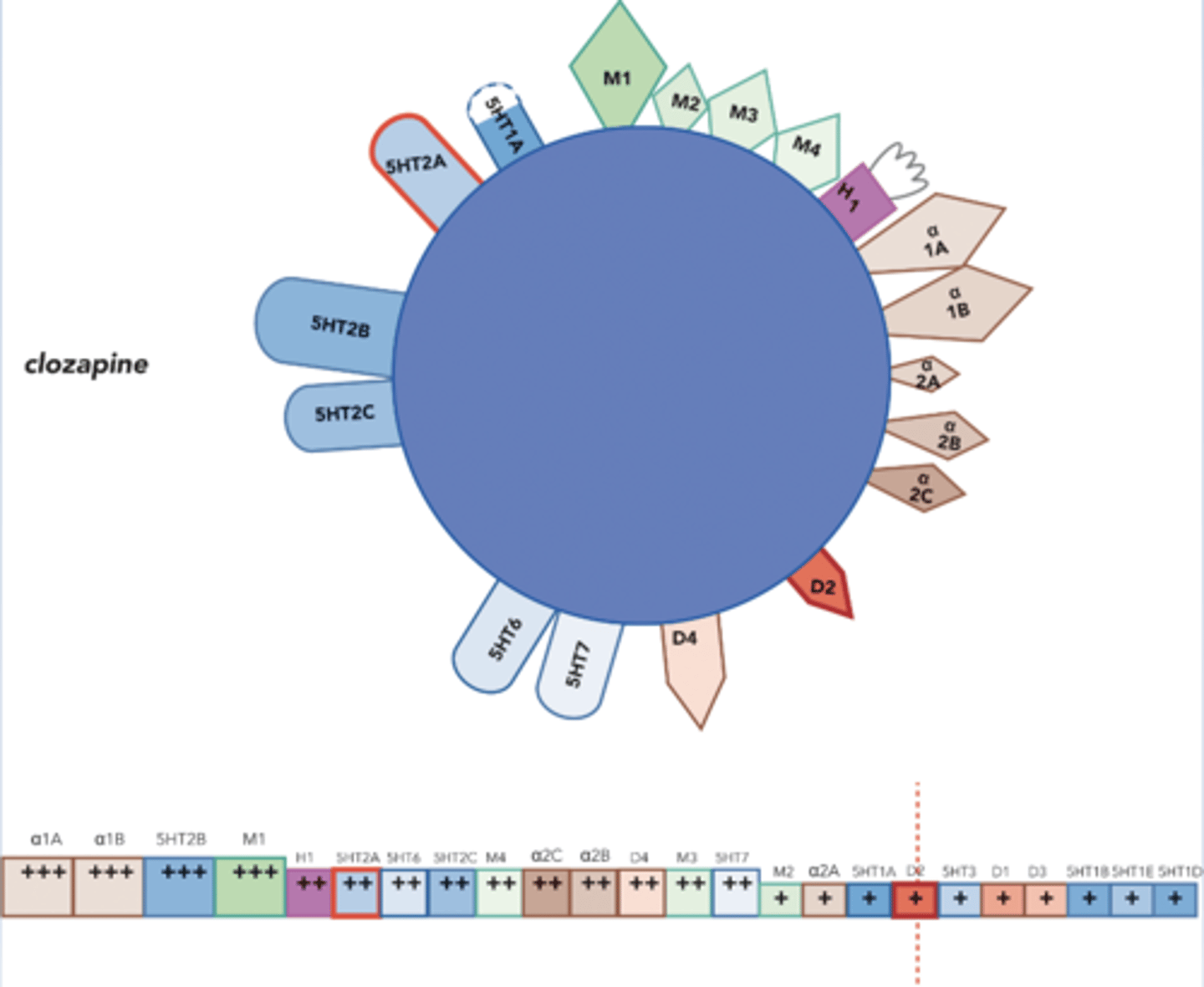 <p>-Sedation</p><p>-Anti-sludge</p><p>-Decreased BP and orthostatic hypotension</p>