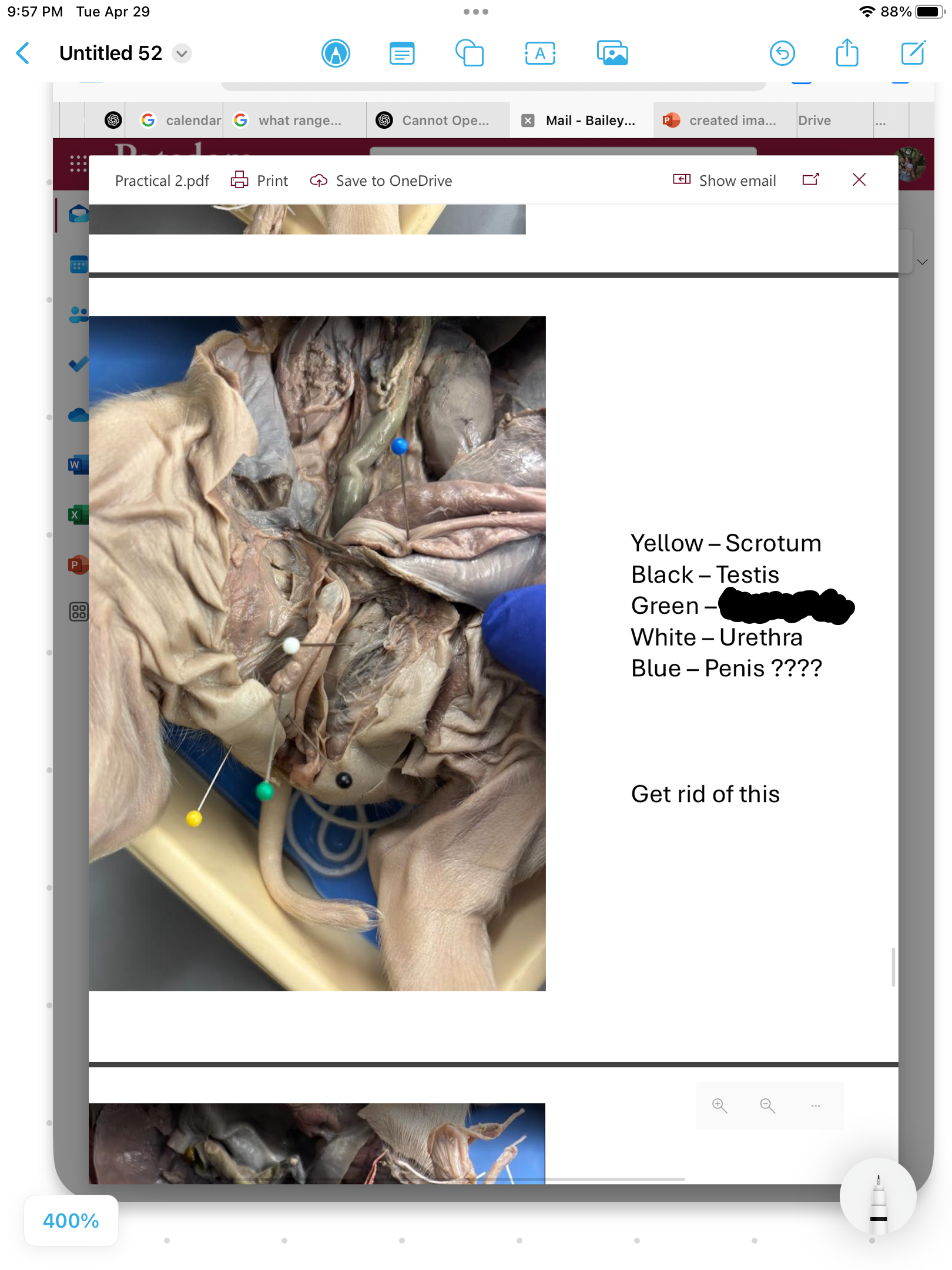 <p>label the area</p>