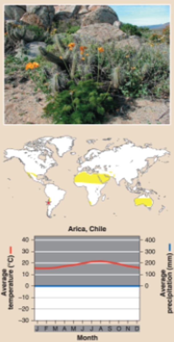 <p>A biome located at roughly 30 N and 30 S, and characterized by hot temperatures, extremely dry conditions, and sparse vegetation</p>