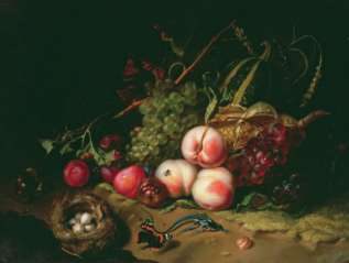 <p>Fruit and Insects</p>