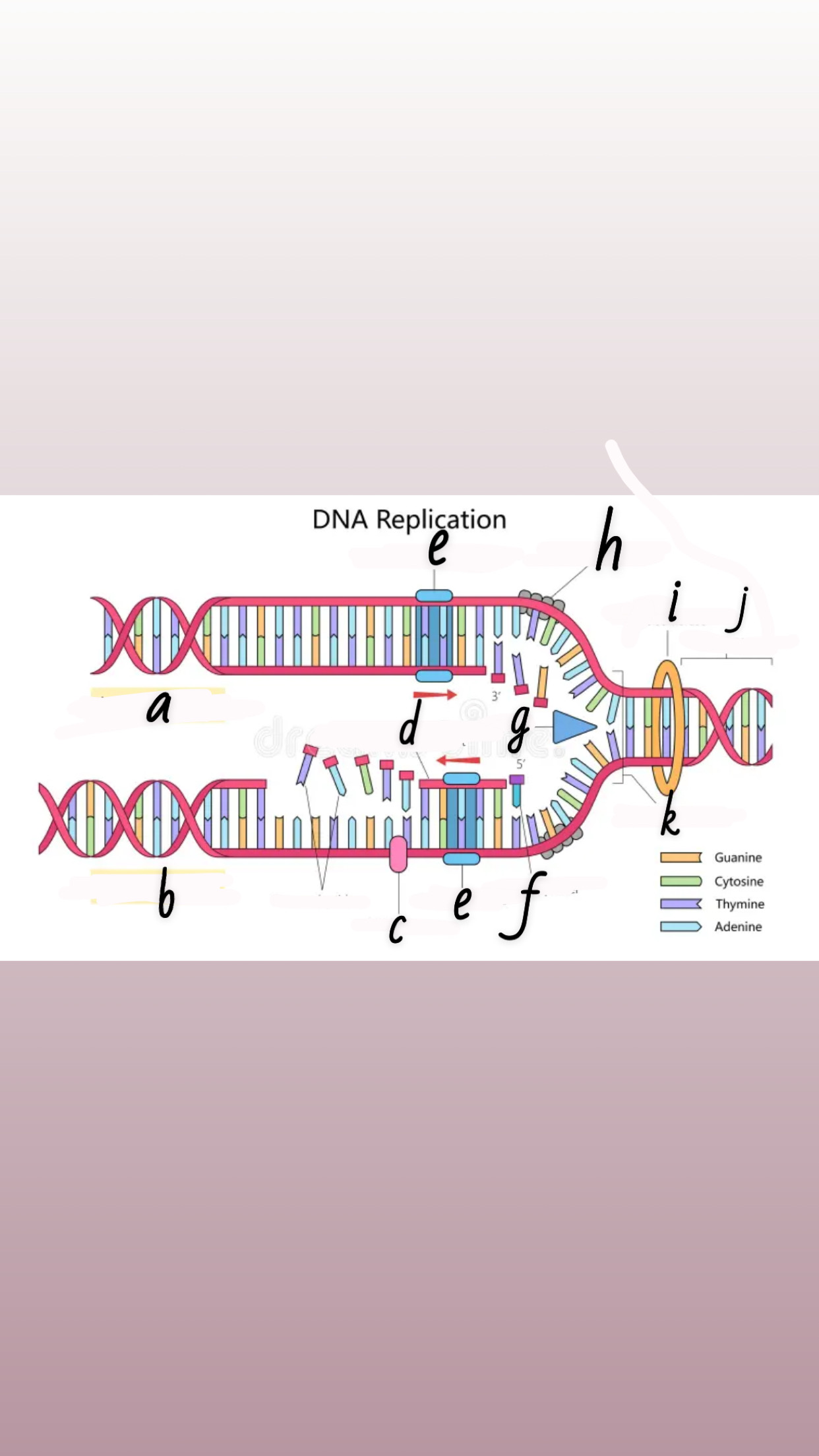 <p>What is label a?</p>