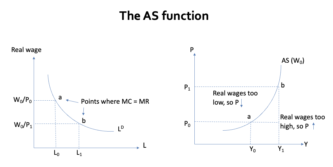 <p><span>An aggregate supply curve (AS) can be derived by asking how planned output varies as the price level changes.&nbsp;</span></p><p><span>To show this we assume that the money wage (<em>W</em>) is fixed; that the capital stock (<em>K</em>) is fixed; and that output varies directly with employment in that as more labour is employed more output is produced.</span></p><p>This is displayed in the attached graph.</p>
