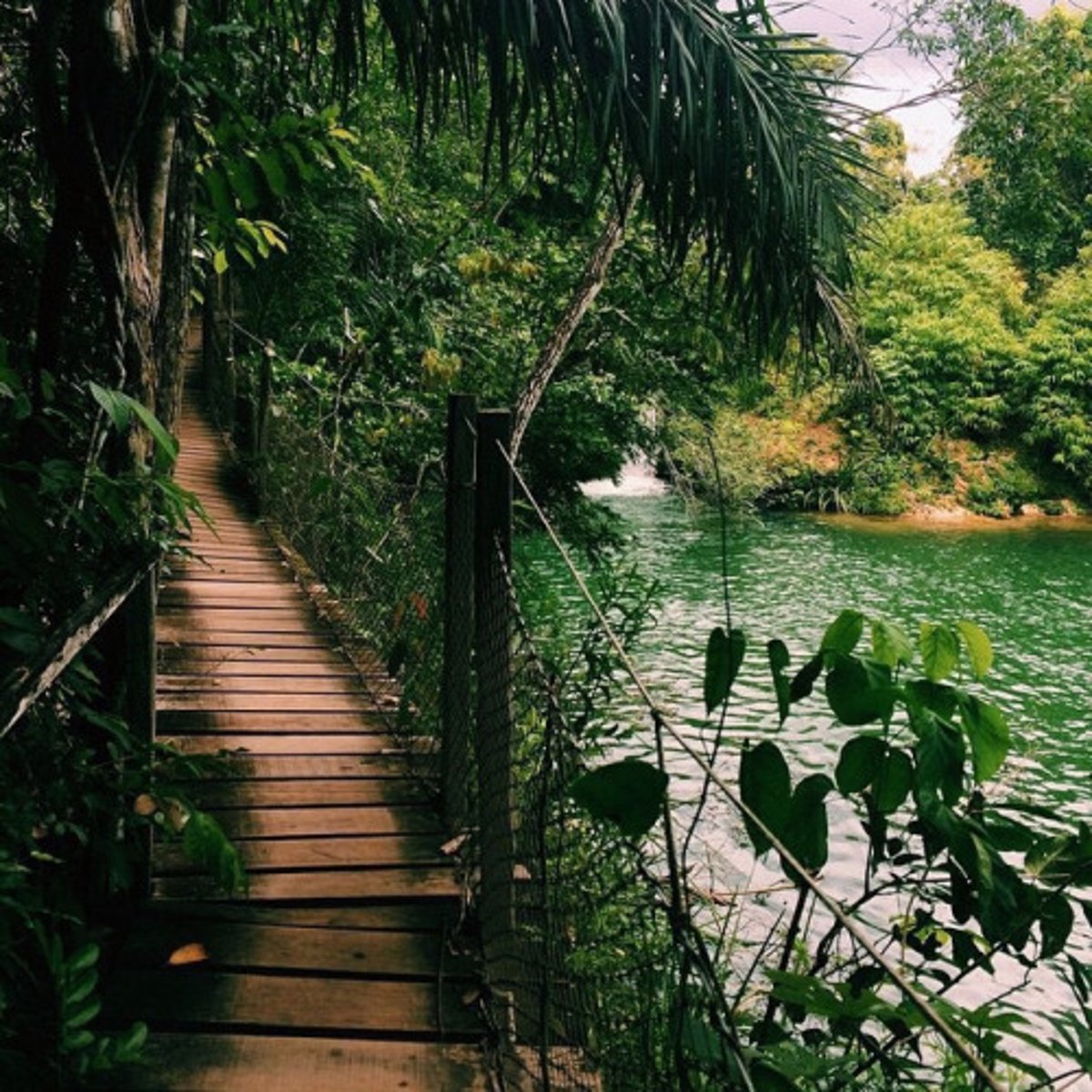 <p>Chất lượng cuộc sống.</p><p></p><p>Example: Green spaces improve quality of life.</p><p>Nghĩa: Không gian xanh cải thiện chất lượng cuộc sống.</p>