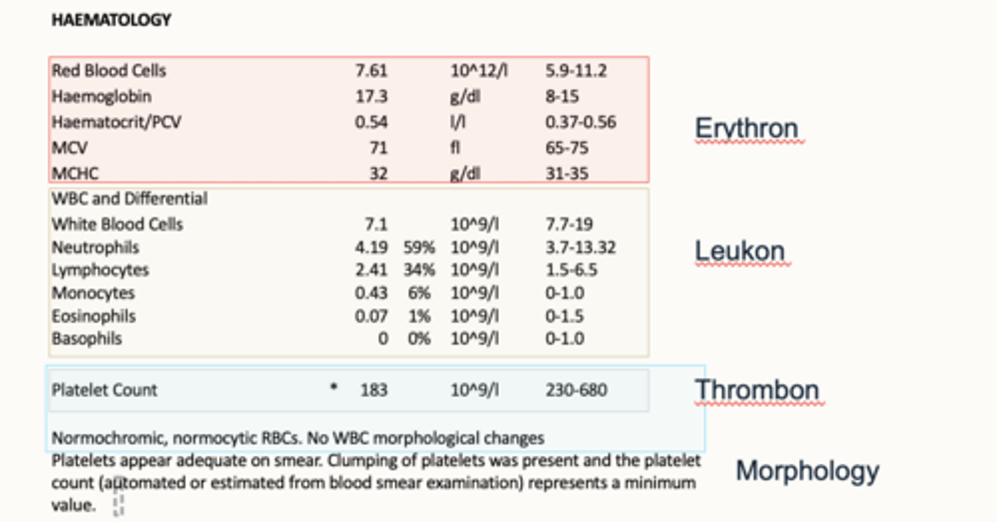 <p>erythron, leukon, thrombon,</p>