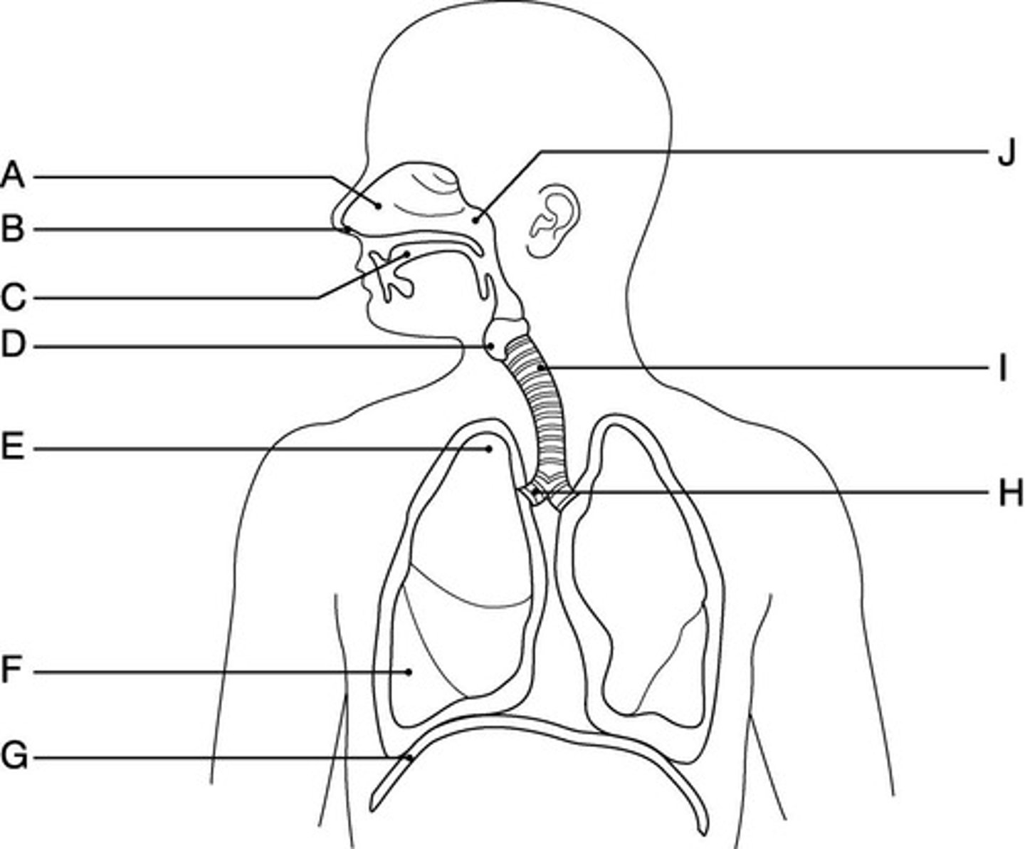 <p>v. /ˈɪn.dɪ.keɪt/ (~show, point) Chỉ ra, biểu lộ</p><p>The signpost indicated the right road for us to follow</p><p>Research indicates that eating habits are changing fast.</p><p>•indication •indicative •indicator (=blinker)</p>