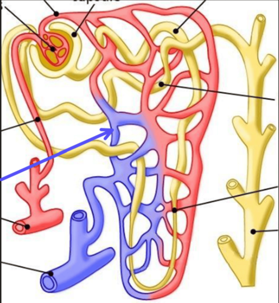 <p>What is the arrow pointing at?</p>