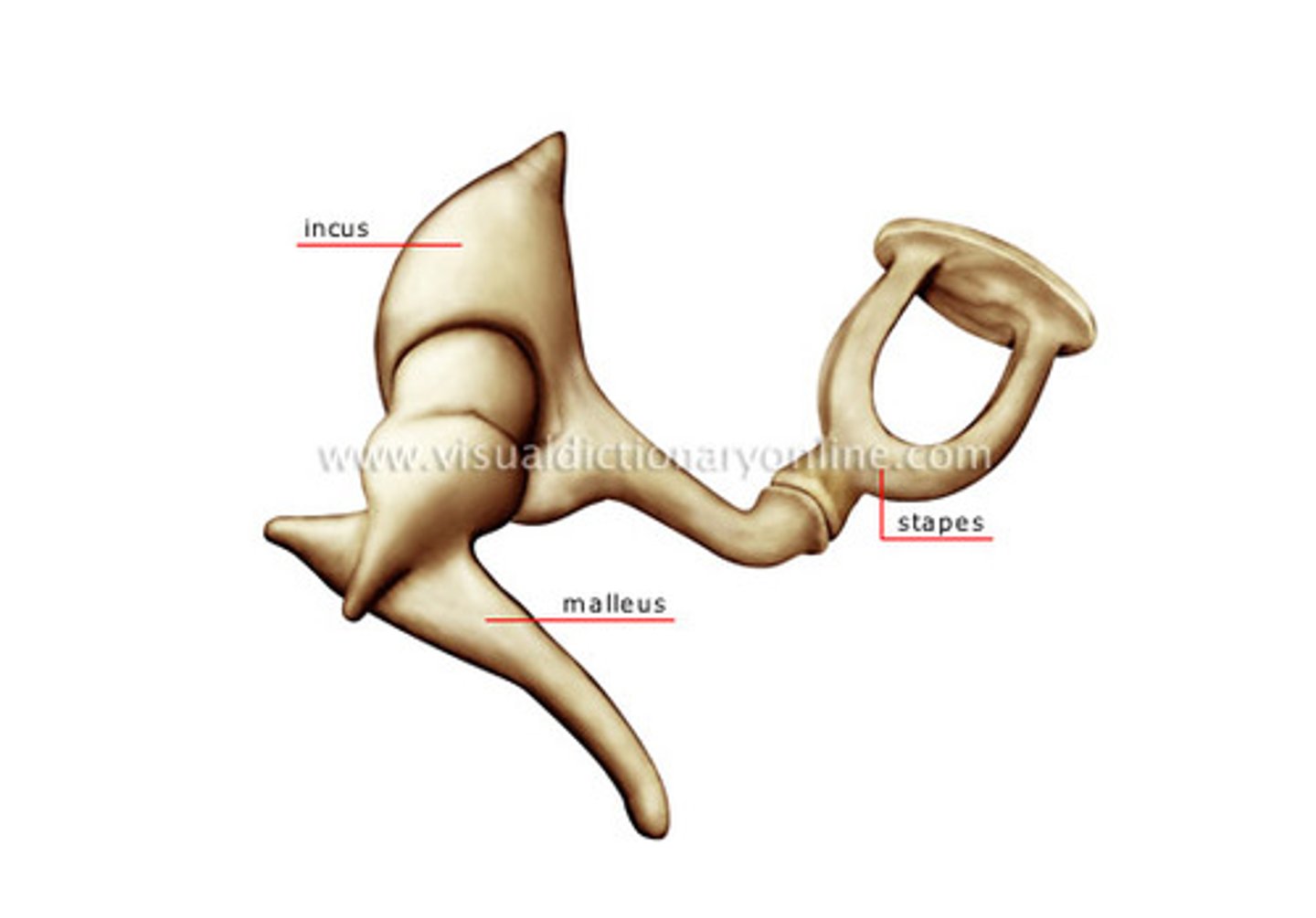 <p><em>identify the structure:</em></p>
