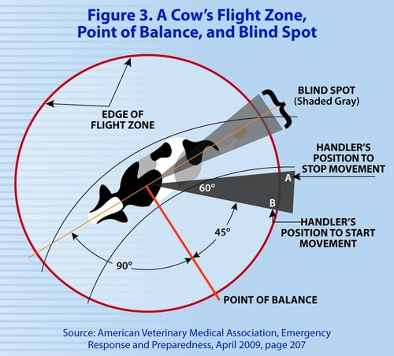 <p>Animal's personal space indicating possible threat.</p>