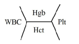 <p><strong><u>COMPLETE BLOOD COUNT</u></strong></p><ol><li><p>Normal Hb / Hgb range ____ g/dL</p></li><li><p>Hematocrit (Hct) ____%</p></li><li><p>MCV (mean cell volume) → represents …</p></li><li><p>MCH (mean cell hemoglobin) → represents …</p></li><li><p>Reticulocyte count (premature erythrocytes) ____%</p></li></ol><p></p>