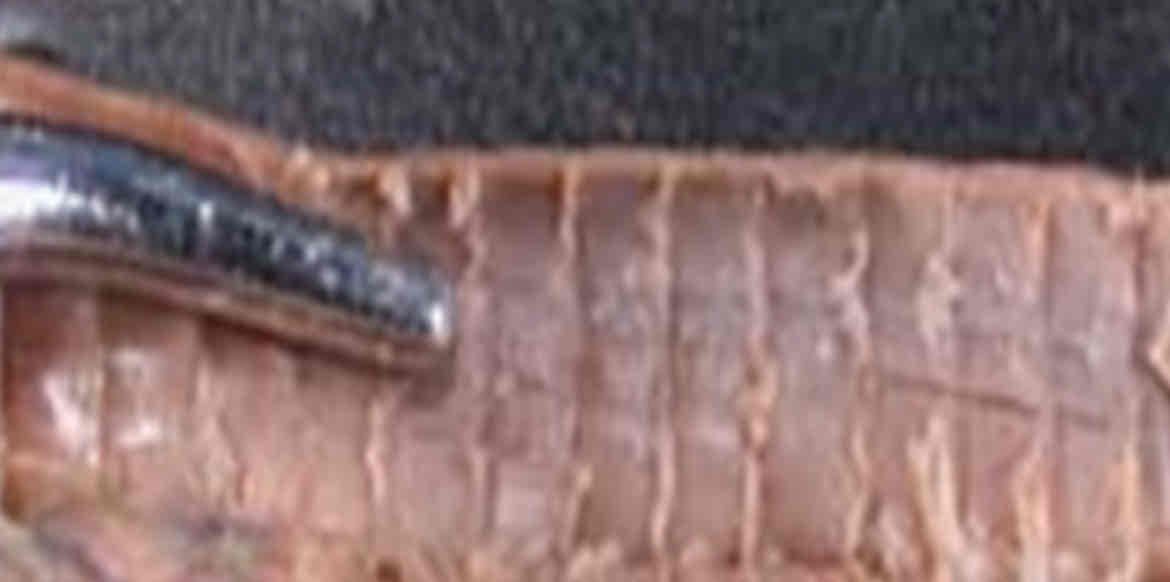 <p>Identify this structure</p>