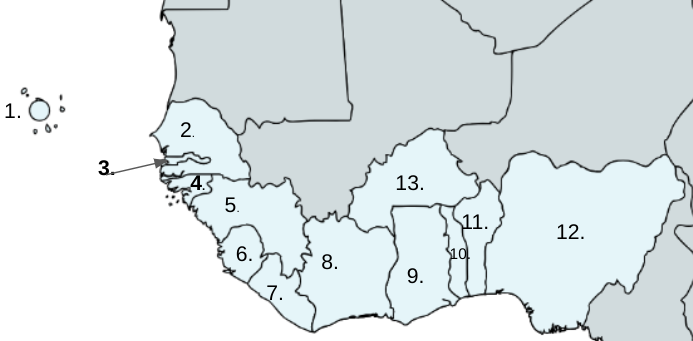 <p>11</p>