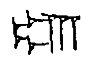 term image