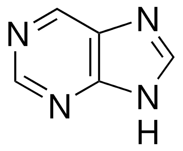 <ul><li><p>2 soorten;</p><ul><li><p>adenine</p></li><li><p>guanine</p></li></ul></li></ul><p></p>