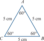 <p>find the angle of the triangle</p>