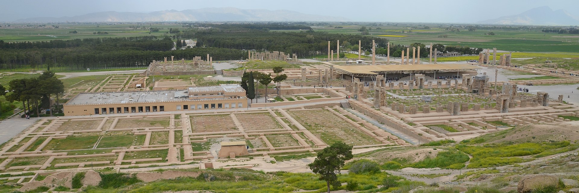 term image
