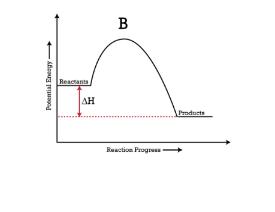 <p>A process that releases heat to the surroundings, resulting in an increase in temperature of the surroundings.</p>