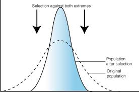 <p>mean/ avg trait is selected for</p>