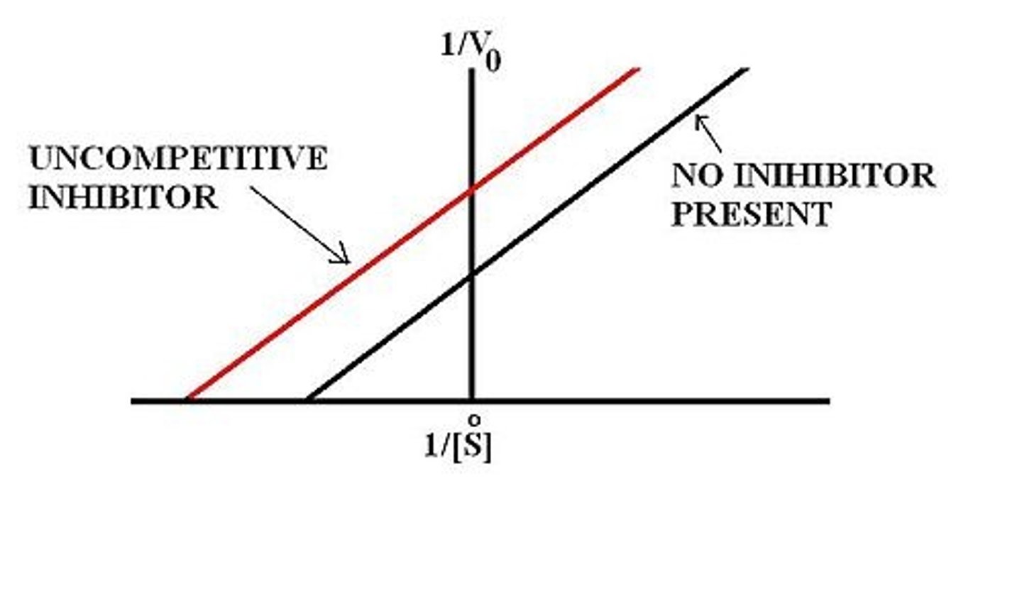 <p>The Lineweaver-Burke plot for an uncompetitive inhibitor will be parallel to the uninhibited enzyme's plot with a higher y-intercept and a more negative x-intercept. This indicates a decreased Vmax and a decreased Km.</p>