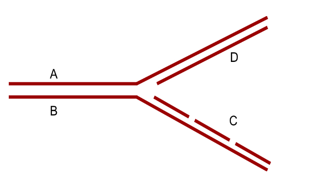 <p>Pictured is a representation of a replication fork, what the leading strand on top and the lagging strand on the bottom. Each red line is a single stranded DNA molecule. Where two lines run parallel, there are complementary base pairings to form double stranded DNA. Which strand will Telomerase extend?</p>